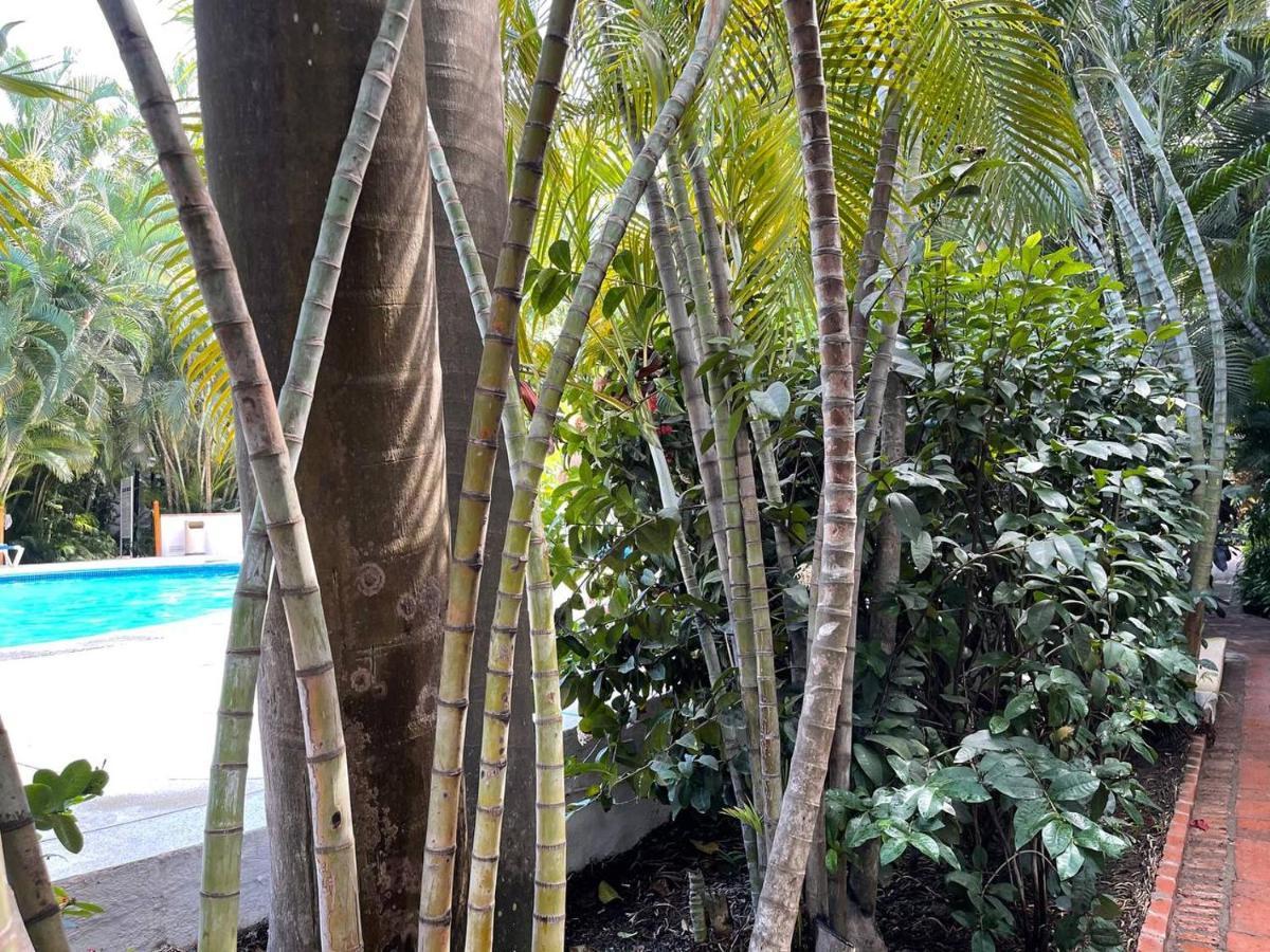 Apartamento The Of Marbella Puerto Vallarta