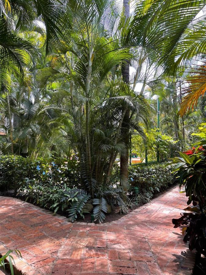 The Of Marbella Apartment Puerto Vallarta
